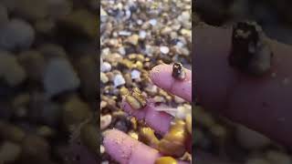 ASMR RELAXING  Pebbles [upl. by Wilden]