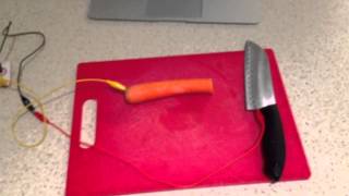 Makey Makey Screaming Carrot [upl. by Courtenay]