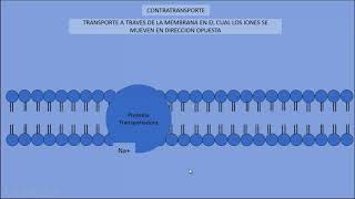 Contratransporte  Fisiología Celular [upl. by Santiago161]