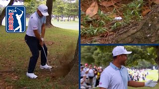 Xander Schauffele cards quadruple bogey from tree root  ZOZO CHAMPIONSHIP 2024 [upl. by Alesiram]