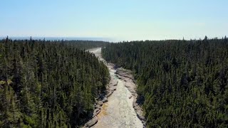 Quebecs Anticosti Island named UNESCO heritage site [upl. by Monney]