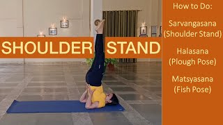 Shoulder Stand Tutorial  Step by Step for Beginners Sarvangasana Halasana Matsyasana [upl. by Karlise]