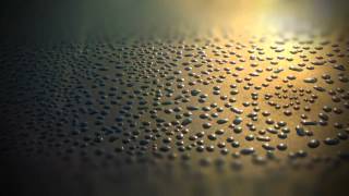 Time lapse dew evaporation [upl. by Amoeji480]