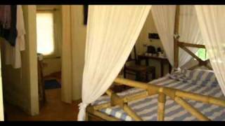 India Goa Mandrem Otter Creek Tents India Hotels India Travel Ecotourism Travel To Care [upl. by Breech422]