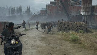 Days Gone  Old Sawmill Horde Normal [upl. by Carri]