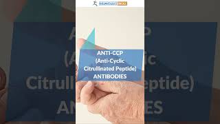 AntiCyclic Citrullinated Peptide antiCCP  Rheumatoid Arthritis RA Rheumatology Labs [upl. by Adnolehs]