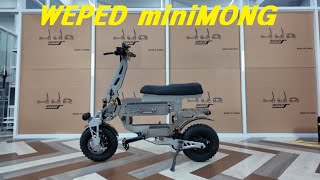 EBike WEPED miniMONG 위페드 미니몽 전기자전거 팻바이크 자토바이 [upl. by Laertnom619]