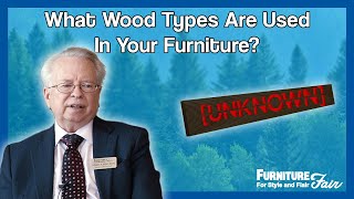 What Type of Wood is BEST for Me Hardwood vs Softwood vs Plywood [upl. by Kelula]