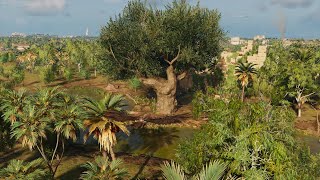 Royal Flora  Assassins Creed Origins  Papyri Puzzle [upl. by Suh765]