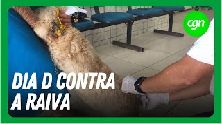 Vacinação antirrábica ocorre neste sábado confira [upl. by Lesig989]