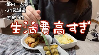 24歳都内一人暮らしのリアルな1ヶ月の生活費公開【節約ゼロ】 [upl. by Caylor]