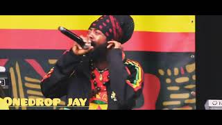 IWAYNE LIVE  REGGAE GEEL  BELGIUM 🇧🇪 🔥 [upl. by Eelyrag]