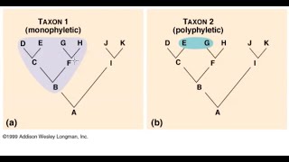 Materi Olimpiade Biologi SMA  Biosistematika [upl. by Nevur677]