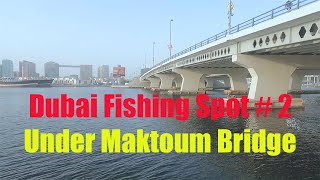 Best Fishing Spots in Dubai  2  Under Maktoum Bridge [upl. by Stempson]