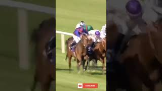 LUXEMBOURG Wins Irish Champion Stakes G1 horselifevd horserace horseracing [upl. by Cheria992]