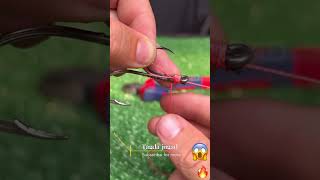 How to Tie 2 Fishing Hooks in One Knot  Easy Fishing Rig Tutorial [upl. by Hound]