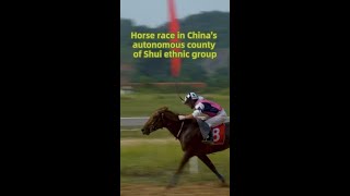 Horse race held in Chinas autonomous county of Shui ethnic group [upl. by Ynohtn824]