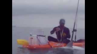 PESCA DE TIBURONES EN KAYAK DIA 2 quotMIREN COMO ME VUELCA EL KAYAKquot [upl. by Pare]