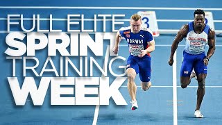 Elite Sprint Training Week  Road To 20 ³ [upl. by Gaivn]