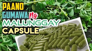 Paano Gumawa ng Malunggay Capsule [upl. by Lyons900]