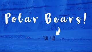 CLOSE POLAR BEAR ENCOUNTER  SVALBARD cabin VLOG  Snowmobile drones amp Glaciers [upl. by Witt174]