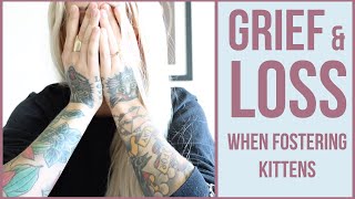 Grieving the Loss of a Foster Kitten 6 Tips [upl. by Gnouh]