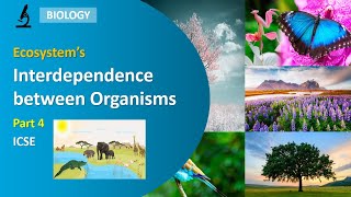 Ecosystem  ICSE Part 4  Class 8  Interdependence between organisms [upl. by Ahsem]