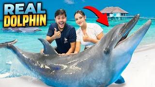 ডলফিনের সাথে সাঁতার কাটলাম  Swim With REAL DOLPHINS 🐬  Rakib Hossain [upl. by Rama345]