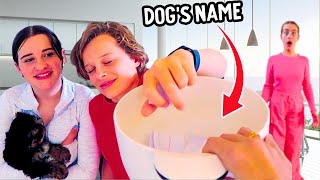 NAMING OUR NEW PUPPY OUT OF A HAT w the Norris Nuts [upl. by Kalin]