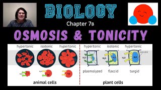 Osmosis amp Tonicity with Ms Haller [upl. by Iva540]