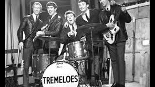 Here Comes My Baby Tremeloes Drummer Life Story Interview Dave Munden [upl. by Onin]