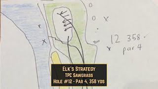 Elks Secret To Playing TPC Sawgrass  Hole 12 [upl. by Nilauqcaj]