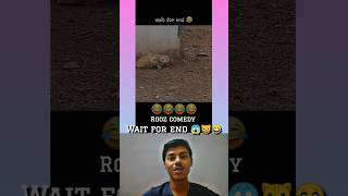 Bap saman billa😱😾 angvines bagad billa funny videos 😂 shorts yt bagadbilla [upl. by Imot]