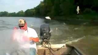 Fish Blooper  Fisherman gets slapped in face by a carp [upl. by Aracaj]