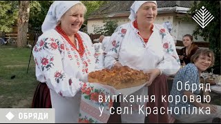 Обряд випікання короваю у селі Краснопілка [upl. by Anwahsak]