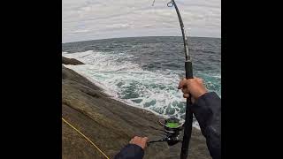 3 DAYs Cliff Fishing and Survival Camping survivalchallenge rockfishing fishingvideo [upl. by Kcirddet873]