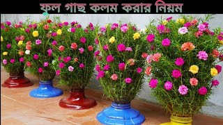 ফুল গাছ কলম দেওয়ার পদ্ধতি How To Make Beautiful Flower Pots From Plastic Bottles For The Garden [upl. by Pussej]