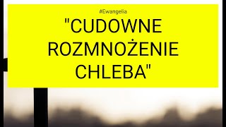 Ewangelia  20240805 Mt 14 1321 quotCudowne rozmnożenie chlebaquot [upl. by Epoillac]