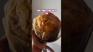 Panettone  Italian Christmas Cake or Sweet Bread  Milanese Style  shorts youtubeshorts [upl. by Sadinoel]