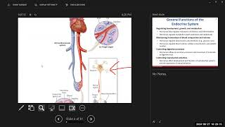 Day 1 BIO 211 720 Lecture FA2024 Endocrine System [upl. by Pape481]