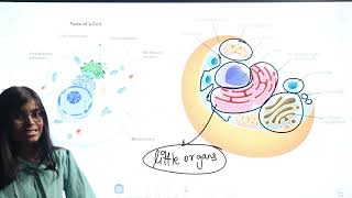 Endoplasmic Reticulum  Cell  Structure and Function  Biology Class 9  RN Glory [upl. by Doolittle]