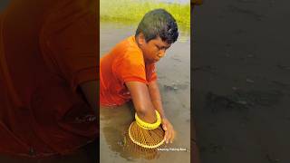 Amazing Rural Polo Fishing part1✅💥Reels Shorts fishvideo Fish polofishing [upl. by Aerdnaid339]