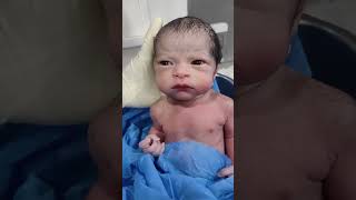 Ohh my god his reaction viralvideo cutebaby littleprince newbornbaby [upl. by Barnes]