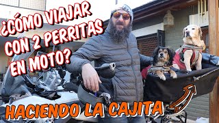 Viajar en moto con perros [upl. by Willumsen366]