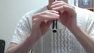 Tin whistle The Lilting Banshee Irish Traditional [upl. by Ydahs]