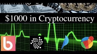 Invest 1000 Dollars in Cryptocurrency  Here is My Picks [upl. by Anetsirk]