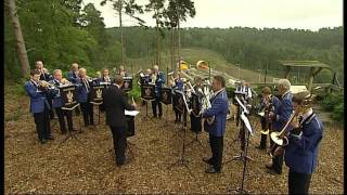 Haslemere Town Band [upl. by Neb]