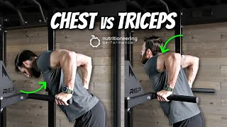 How to do Chest Dips vs Tricep Dips [upl. by Amolap]