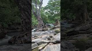 Manik Ganga 13th longest River Sri LankaUva Province 114km long flows through holy city Kataragama [upl. by Amethist]