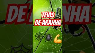 Teias de Aranha Mais Fortes que Aço 😧 🕸 curiosidades aranha [upl. by Sucy]